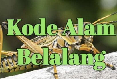 4d kode alam belalang 2d. To kecil slot bonus 100. Totokita3 com bandar togel.