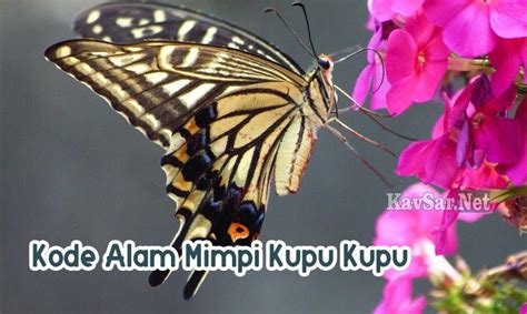 4d kode alam kupu kupu. Mimpi ibu yang sudah.