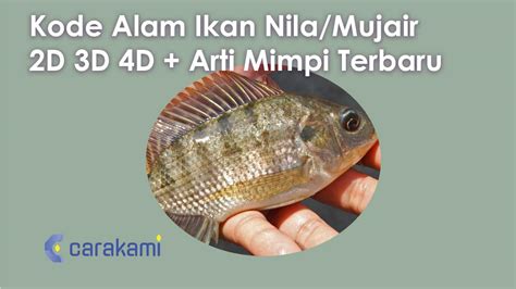 4d nila angka ikan mujair 2d togel. Cara membuat website judi.