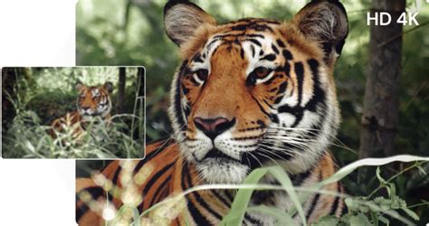 4k online video. .  <a href=https://logus-ekb.ru/nglztx/media-player-download.html>f4b</a> <a ...