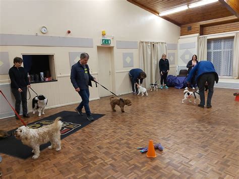 4paws - 4 Paws Boarding Kennels & Cattery, Pearcedale. 3K likes · 125 were here. 4 Paws Boarding Kennels & Cattery is a luxury Boarding Kennel situated on 22 beautiful acres.