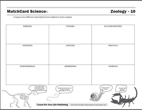 4th Grade Animals Zoology Worksheets Teachervision Animal Instincts Worksheet 4th Grade - Animal Instincts Worksheet 4th Grade