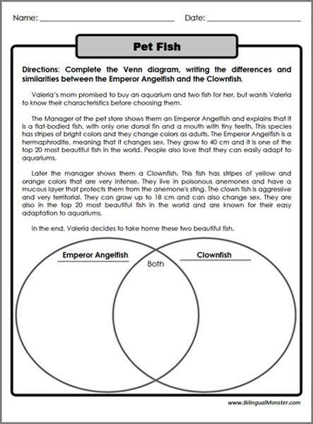 4th Grade Compare And Contrast Worksheets Learny Kids Compare And Contrast Activities 4th Grade - Compare And Contrast Activities 4th Grade