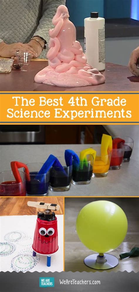 4th Grade Science Activities And Experiments Teachervision Autumn Science Worksheet 4th Grade - Autumn Science Worksheet 4th Grade