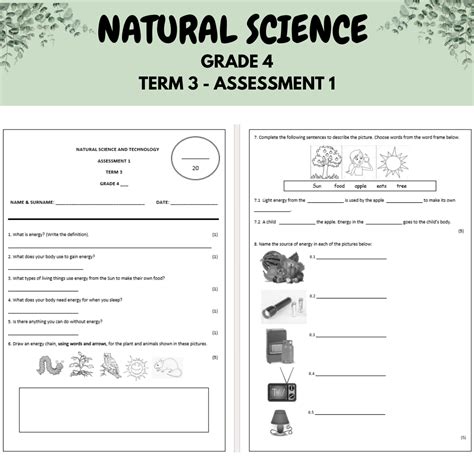 4th Grade Science Assessment Test Turtle Diary Science Exam Grade 4 - Science Exam Grade 4
