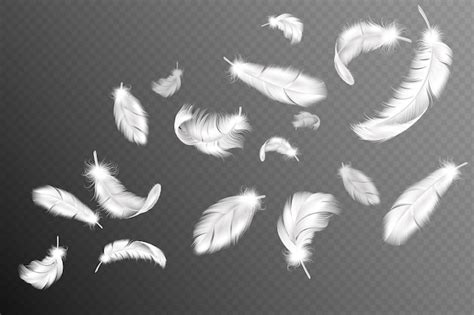 5,000+ Swan Feathers Pictures - freepik.com