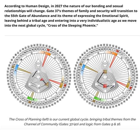 5/1 Profile Left Angle Cross of Cycles Human.Design