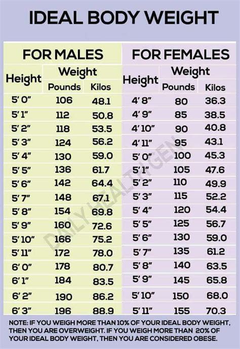 5 2 Weight Chart