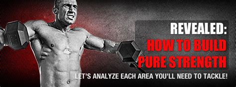 5 3 1 How to Build Pure Strength