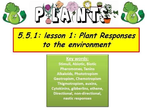 5 5 1 Plant Responses Ocr A Level Plant Responses Worksheet - Plant Responses Worksheet
