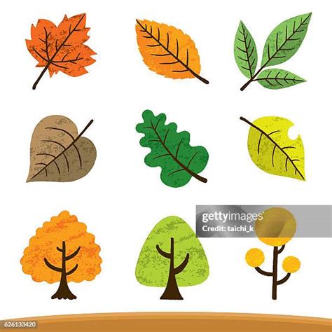 5 556点のかえでの葉イラスト素材 Getty Images