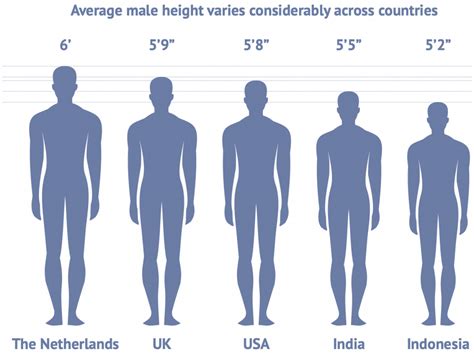 5 8 Height