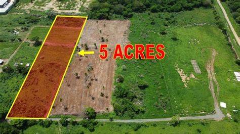 5 Acres & A Dream: Swale Project: Making a Start - raincitystudios.com