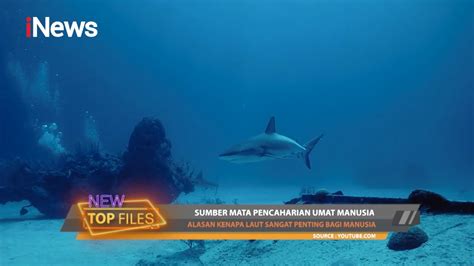 5 Alasan Kenapa Laut Sangat Penting bagi Manusia - raincitystudios.com