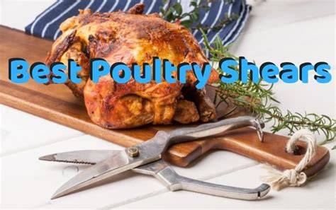 5 Best Poultry Shears to Make Cutting Chicken Easy - raincitystudios.com