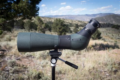 5 Best Spotting Scopes - Mar. 2026 - BestReviews - muktibox.com
