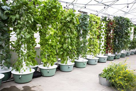 5 Best Vertical Hydroponic Systems - Urban House … - raincitystudios.com