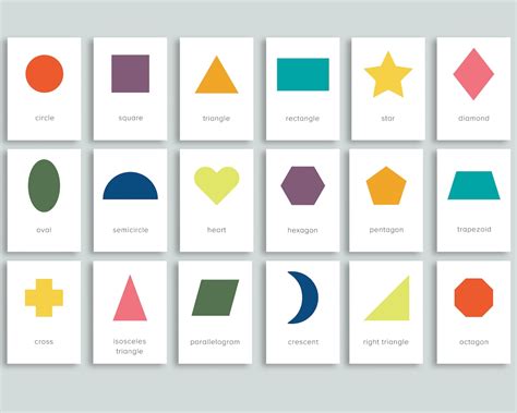 5 Basic Shapes Flashcards Quizlet