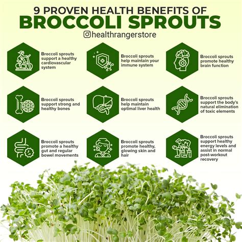 5 Benefits of Broccoli Sprouts & Their Nutritional Value - Dr. Berg