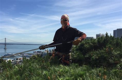 5 Best Arborists in Oakland, CA