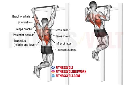 5 Best Back Exercises Using Pull Up Bar