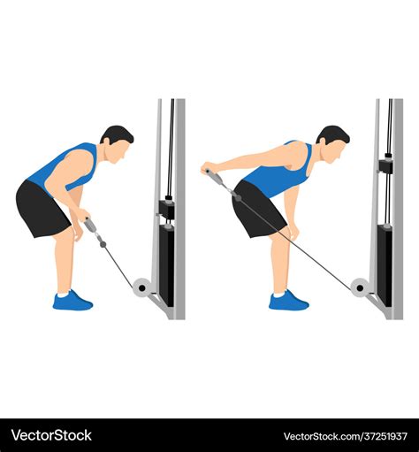 5 Best Cable Exercises and Workouts for Big Triceps