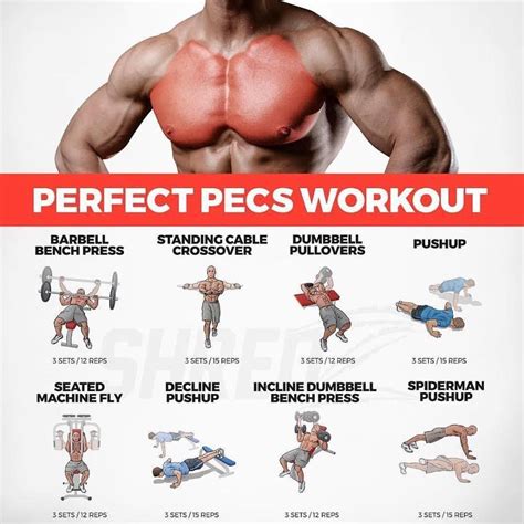 5 Best Chest Exercises for Men to Build Bigger Pecs