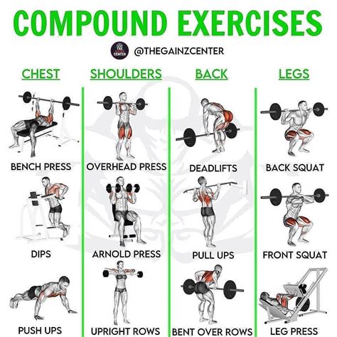 5 Best Compound Exercises for Beginners to Build Strong Arms