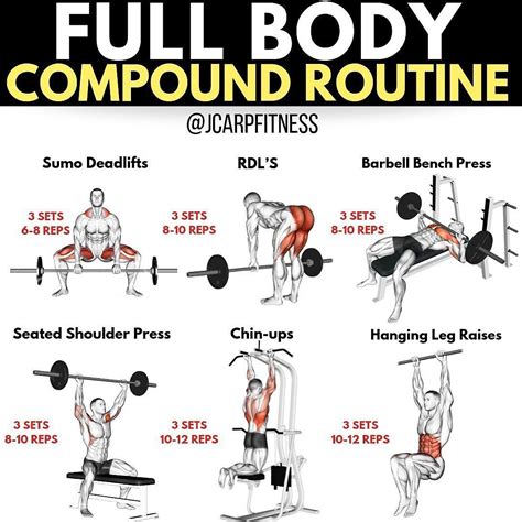 5 Best Compound Exercises to Lose Weight and Build Muscle