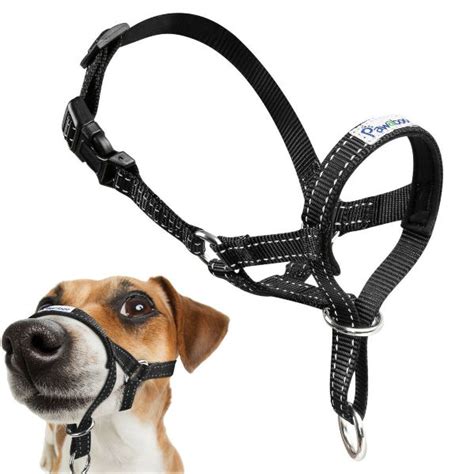 5 Best Dog Head Halters (April 2024: Reviews) - The Goody Pet