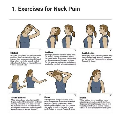 5 Best Exercises For A Muscular Neck