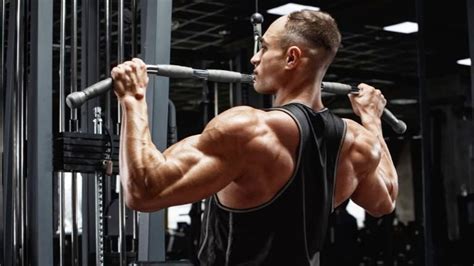 5 Best Machines for Back Exercises