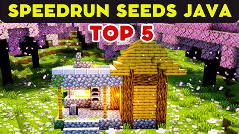 5 Best Minecraft Java Edition Seeds To Speedrun In 21