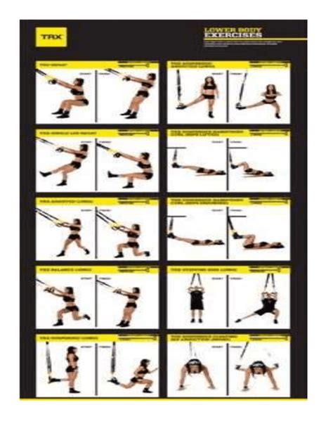5 Best TRX Exercises for Absolute Beginners