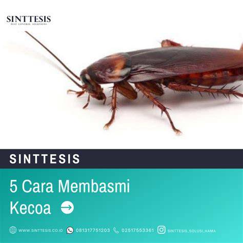5 Cara untuk Membasmi Kecoa - wikiHow - raincitystudios.com