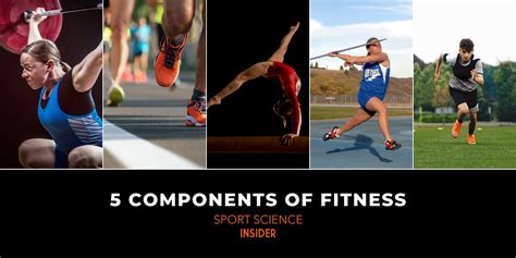 5 Components of Fitness – Sport Science Insider