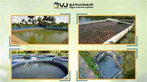 5 Different Types of Fish Pond for Fish Farming - raincitystudios.com