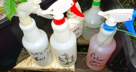 5 DIY Garden Sprays That Really Work! - Self Sufficient Me - raincitystudios.com