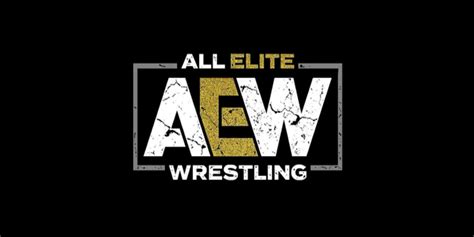 5 Details the AEW Game Has to Absolutely Nail - Game Rant