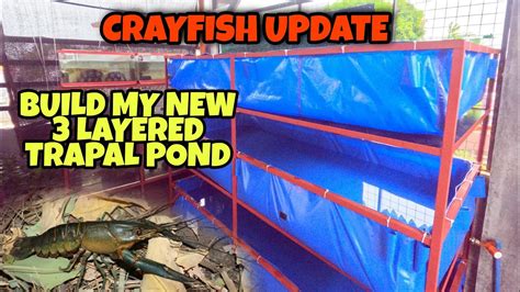 5 Easy Steps to Farm Crayfish : biomimicry.net - muktibox.com