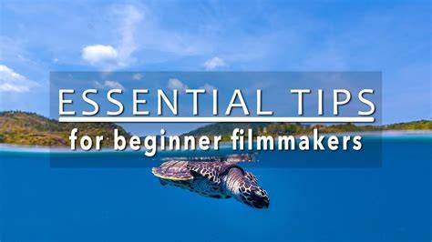 5 ESSENTIAL TIPS for Underwater Videographers - raincitystudios.com