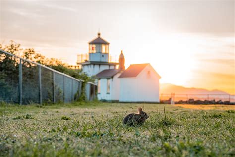 5 Easy Tips for Getting Sun Flares and Rainbows in Your Photos