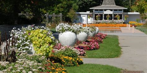 5 Events in Burlington CLV Group Blog