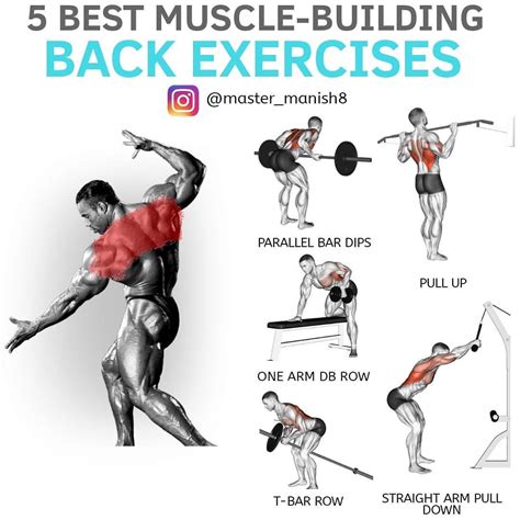 5 Exercises for Upper Back Strength