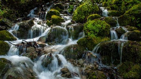 5 Fantastic Places to See Waterfalls on Mount ... - Save Mount Diablo - raincitystudios.com
