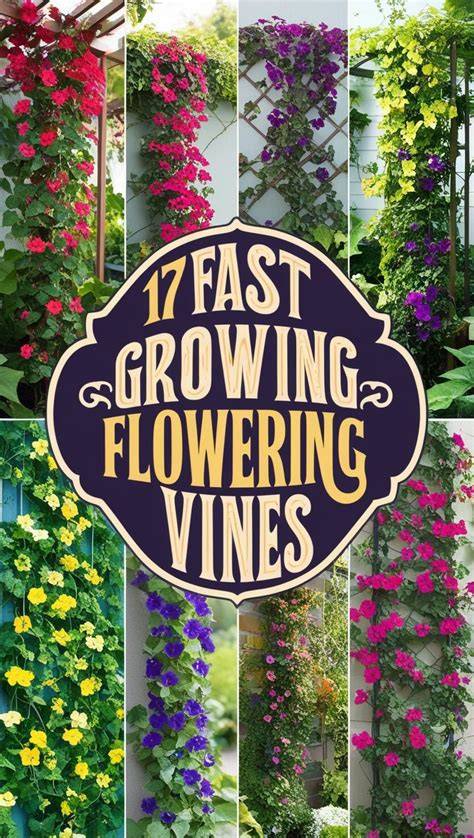 5 Flowering Vines to Grow from Seed - Horticulture - raincitystudios.com