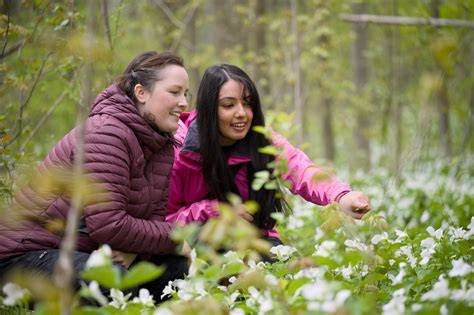 5 forests to visit this spring and how to experience them - raincitystudios.com
