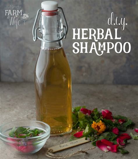 5 HOMEMADE DIY SHAMPOO RECIPES (PLUS 1 DIY …