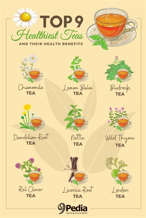 5 Herbal Teas for Wellness – The Tea Shelf