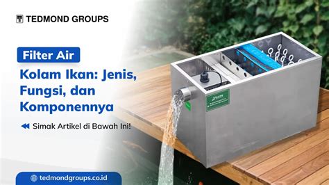 5 Jenis Filter Kolam Ikan dan Fungsinya - raincitystudios.com